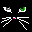 tete chat